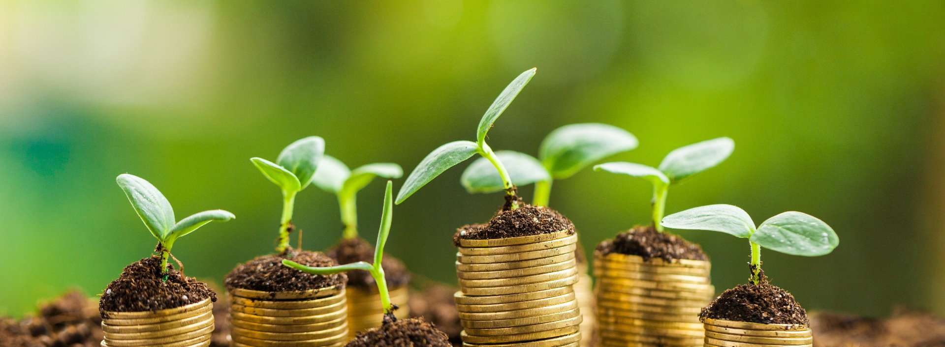 Business Growth
