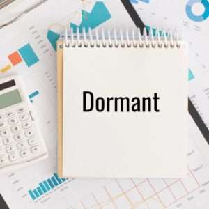 Dormant Company Management